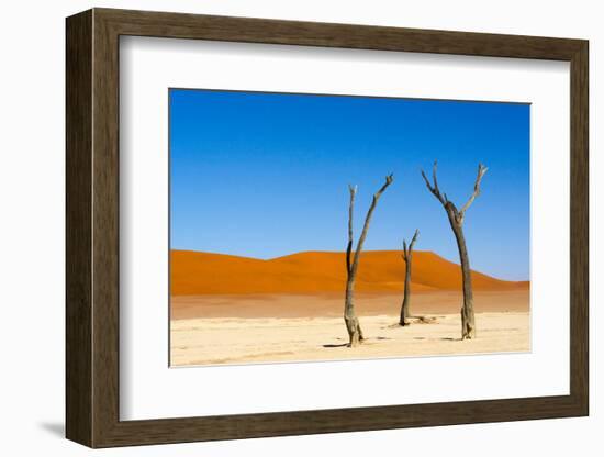 Dead Acacia trees in Deadvlei, Sossusvlei, Namib-Naukluft NP, southern Narim Desert, Namibia-Keren Su-Framed Photographic Print