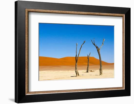 Dead Acacia trees in Deadvlei, Sossusvlei, Namib-Naukluft NP, southern Narim Desert, Namibia-Keren Su-Framed Photographic Print