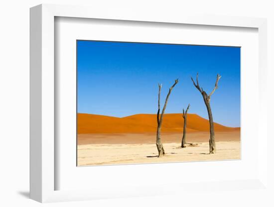 Dead Acacia trees in Deadvlei, Sossusvlei, Namib-Naukluft NP, southern Narim Desert, Namibia-Keren Su-Framed Photographic Print