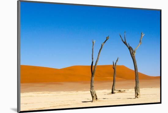 Dead Acacia trees in Deadvlei, Sossusvlei, Namib-Naukluft NP, southern Narim Desert, Namibia-Keren Su-Mounted Photographic Print