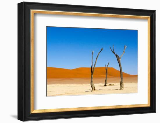 Dead Acacia trees in Deadvlei, Sossusvlei, Namib-Naukluft NP, southern Narim Desert, Namibia-Keren Su-Framed Photographic Print