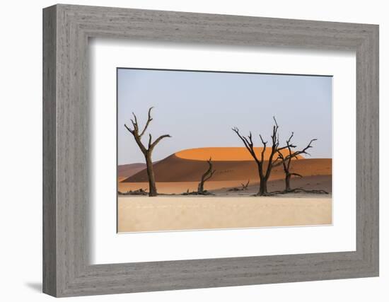 Dead Acacia Trees Silhouetted Against Sand Dunes at Deadvlei, Namib-Naukluft Park, Namibia, Africa-Alex Treadway-Framed Photographic Print