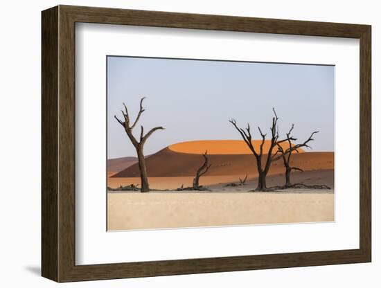 Dead Acacia Trees Silhouetted Against Sand Dunes at Deadvlei, Namib-Naukluft Park, Namibia, Africa-Alex Treadway-Framed Photographic Print