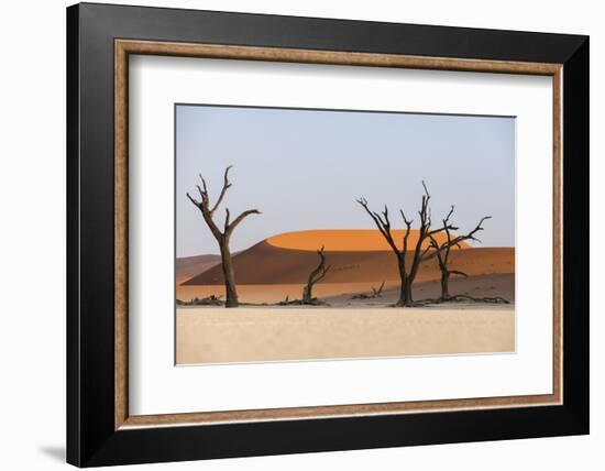 Dead Acacia Trees Silhouetted Against Sand Dunes at Deadvlei, Namib-Naukluft Park, Namibia, Africa-Alex Treadway-Framed Photographic Print