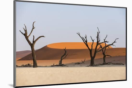 Dead Acacia Trees Silhouetted Against Sand Dunes at Deadvlei, Namib-Naukluft Park, Namibia, Africa-Alex Treadway-Mounted Photographic Print