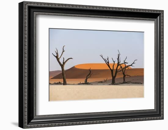 Dead Acacia Trees Silhouetted Against Sand Dunes at Deadvlei, Namib-Naukluft Park, Namibia, Africa-Alex Treadway-Framed Photographic Print