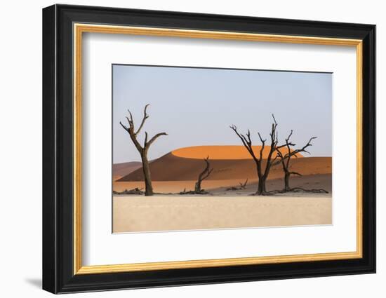 Dead Acacia Trees Silhouetted Against Sand Dunes at Deadvlei, Namib-Naukluft Park, Namibia, Africa-Alex Treadway-Framed Photographic Print