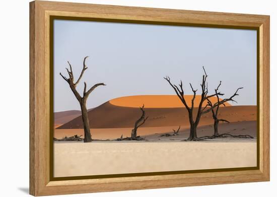 Dead Acacia Trees Silhouetted Against Sand Dunes at Deadvlei, Namib-Naukluft Park, Namibia, Africa-Alex Treadway-Framed Premier Image Canvas