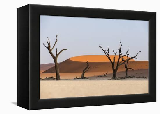 Dead Acacia Trees Silhouetted Against Sand Dunes at Deadvlei, Namib-Naukluft Park, Namibia, Africa-Alex Treadway-Framed Premier Image Canvas