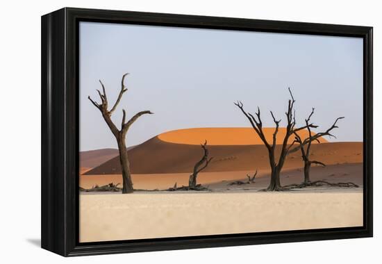 Dead Acacia Trees Silhouetted Against Sand Dunes at Deadvlei, Namib-Naukluft Park, Namibia, Africa-Alex Treadway-Framed Premier Image Canvas