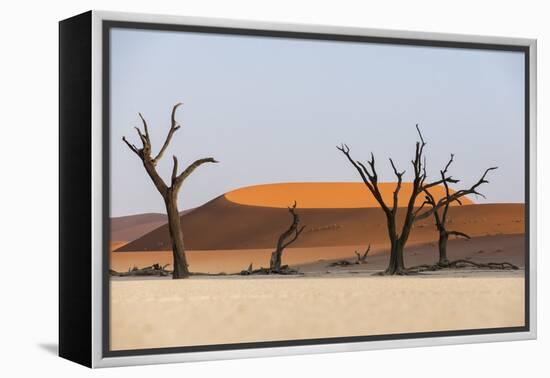 Dead Acacia Trees Silhouetted Against Sand Dunes at Deadvlei, Namib-Naukluft Park, Namibia, Africa-Alex Treadway-Framed Premier Image Canvas