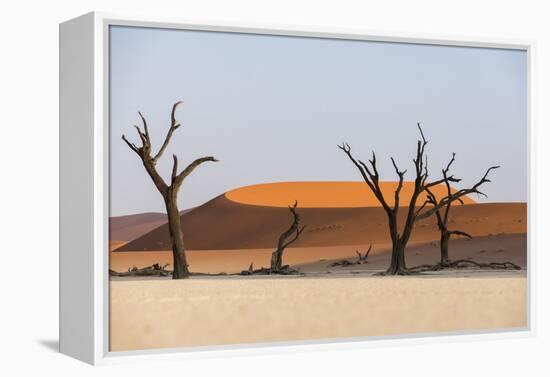 Dead Acacia Trees Silhouetted Against Sand Dunes at Deadvlei, Namib-Naukluft Park, Namibia, Africa-Alex Treadway-Framed Premier Image Canvas