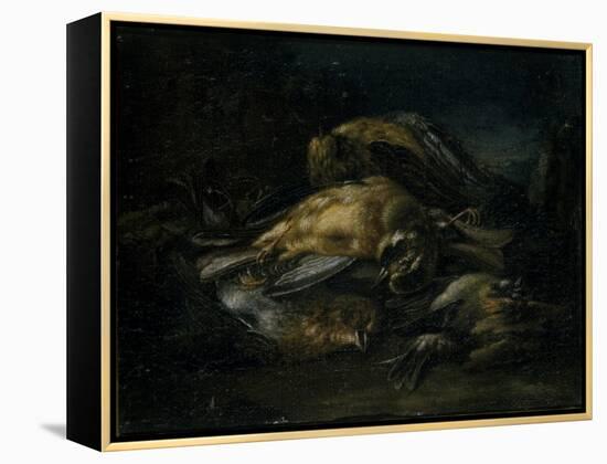 Dead Bird, 1664-Giovanni Benedetto Castiglione-Framed Premier Image Canvas