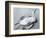 Dead Bird and Sand, 1967-Brett Weston-Framed Premium Photographic Print