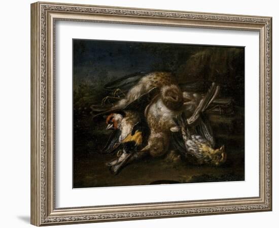 Dead Birds-Giovanni Benedetto Castiglione-Framed Giclee Print