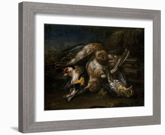 Dead Birds-Giovanni Benedetto Castiglione-Framed Giclee Print