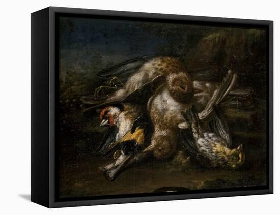 Dead Birds-Giovanni Benedetto Castiglione-Framed Premier Image Canvas