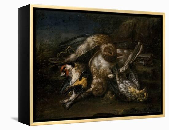 Dead Birds-Giovanni Benedetto Castiglione-Framed Premier Image Canvas