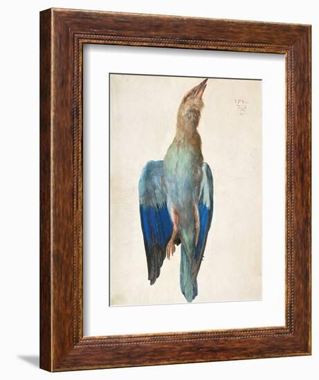 Dead Blue Roller, 1500 (Or 151)-Albrecht Dürer-Framed Giclee Print