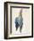 Dead Blue Roller, 1500 (Or 151)-Albrecht Dürer-Framed Giclee Print