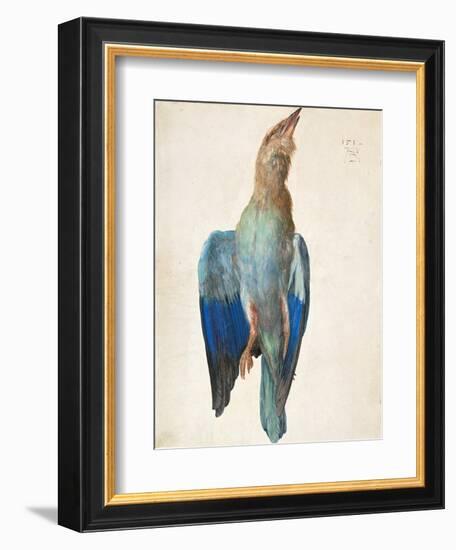 Dead Blue Roller, 1500 (Or 151)-Albrecht Dürer-Framed Giclee Print