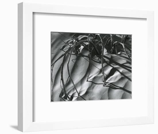 Dead Branches, Detail, White Sands, New Mexico, c. 1940-Brett Weston-Framed Photographic Print