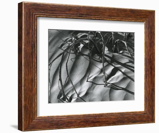 Dead Branches, Detail, White Sands, New Mexico, c. 1940-Brett Weston-Framed Premium Photographic Print