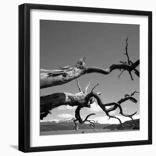 Dead Branches with Lake and Mountains-null-Framed Photographic Print