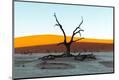 Premium Photographic Print