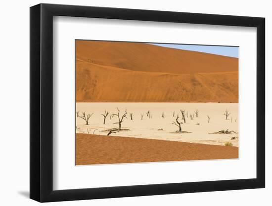 Dead Camelthorn trees on sand, Deadvlei, Sossusvlei, Namib Desert, Namibia, June.-Emanuele Biggi-Framed Photographic Print