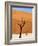 Dead Camelthorn Trees Said to Be Centuries Old Against Towering Orange Sand Dunes Bathed-Lee Frost-Framed Photographic Print