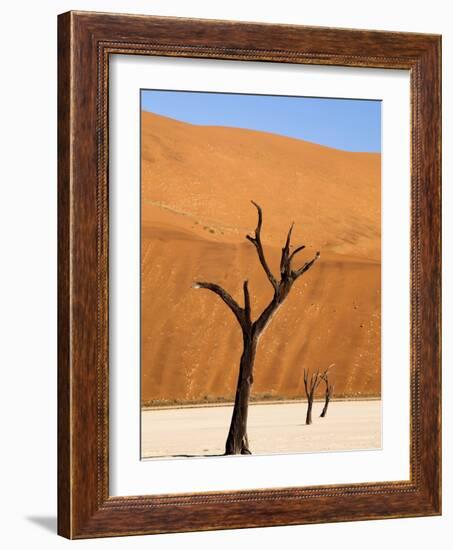 Dead Camelthorn Trees Said to Be Centuries Old Against Towering Orange Sand Dunes Bathed-Lee Frost-Framed Photographic Print