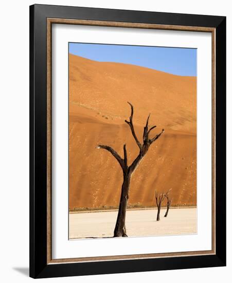 Dead Camelthorn Trees Said to Be Centuries Old Against Towering Orange Sand Dunes Bathed-Lee Frost-Framed Photographic Print