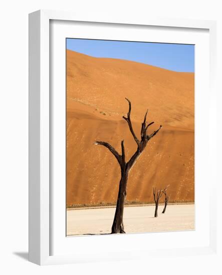 Dead Camelthorn Trees Said to Be Centuries Old Against Towering Orange Sand Dunes Bathed-Lee Frost-Framed Photographic Print