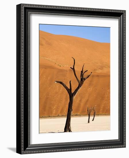 Dead Camelthorn Trees Said to Be Centuries Old Against Towering Orange Sand Dunes Bathed-Lee Frost-Framed Photographic Print