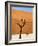 Dead Camelthorn Trees Said to Be Centuries Old Against Towering Orange Sand Dunes Bathed-Lee Frost-Framed Photographic Print