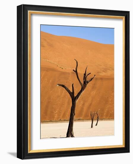 Dead Camelthorn Trees Said to Be Centuries Old Against Towering Orange Sand Dunes Bathed-Lee Frost-Framed Photographic Print