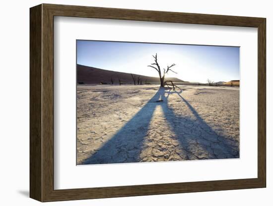 Dead Camelthorn Trees Said to Be Centuries Old-Lee Frost-Framed Photographic Print