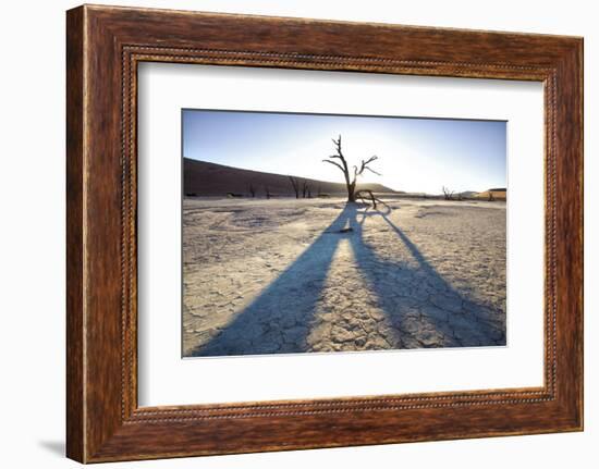 Dead Camelthorn Trees Said to Be Centuries Old-Lee Frost-Framed Photographic Print