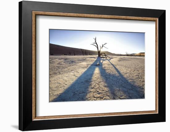 Dead Camelthorn Trees Said to Be Centuries Old-Lee Frost-Framed Photographic Print