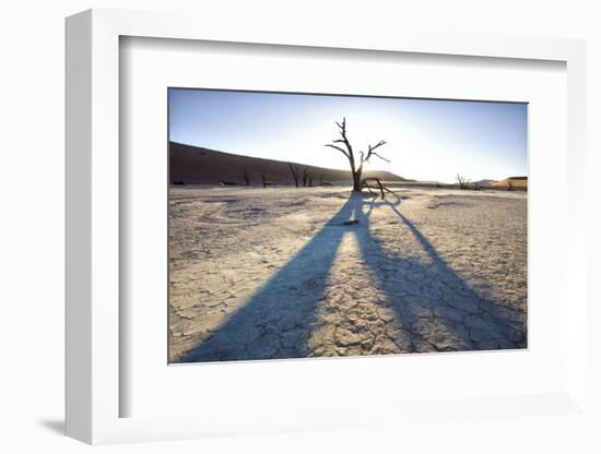 Dead Camelthorn Trees Said to Be Centuries Old-Lee Frost-Framed Photographic Print