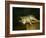 Dead cat. Oil on canvas,50 x 61 cm.-Theodore Gericault-Framed Giclee Print