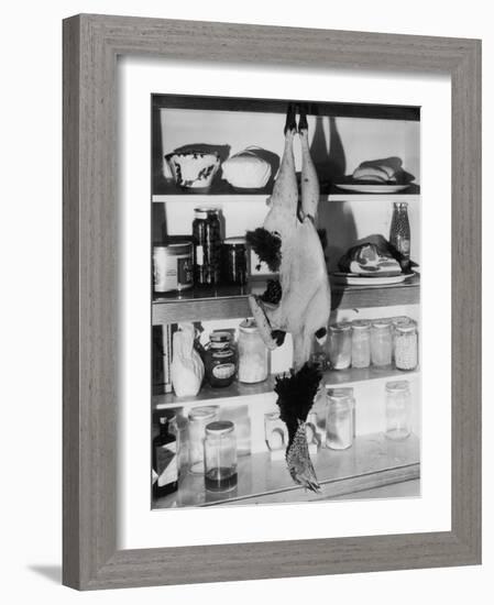 Dead Christmas Turkey-null-Framed Photographic Print