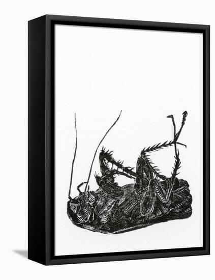 Dead Cockroach, 2014-Bella Larsson-Framed Premier Image Canvas