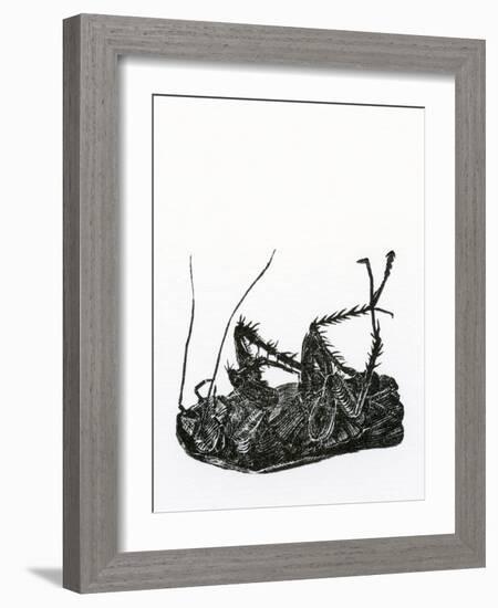 Dead Cockroach, 2014-Bella Larsson-Framed Giclee Print