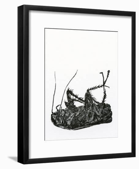 Dead Cockroach, 2014-Bella Larsson-Framed Giclee Print