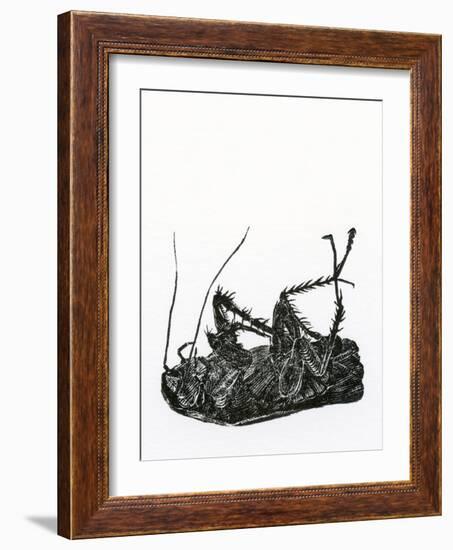 Dead Cockroach, 2014-Bella Larsson-Framed Giclee Print