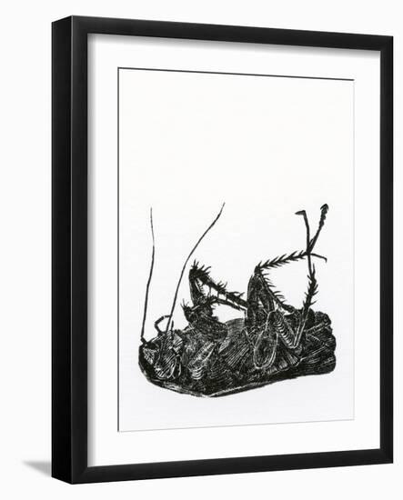 Dead Cockroach, 2014-Bella Larsson-Framed Giclee Print