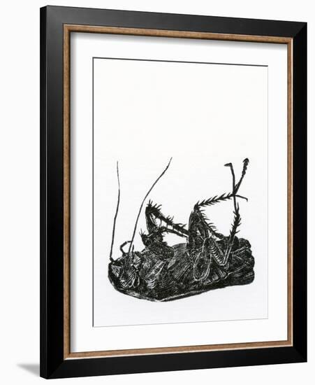 Dead Cockroach, 2014-Bella Larsson-Framed Giclee Print