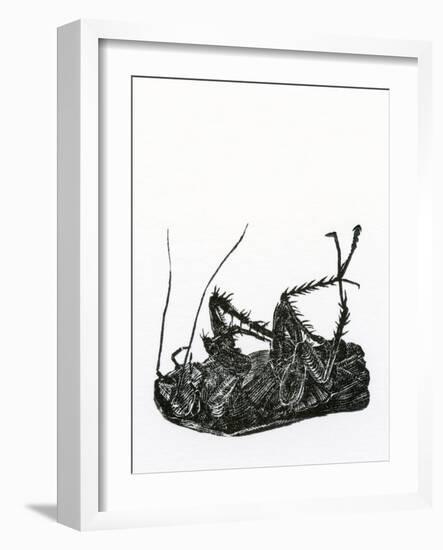 Dead Cockroach, 2014-Bella Larsson-Framed Giclee Print